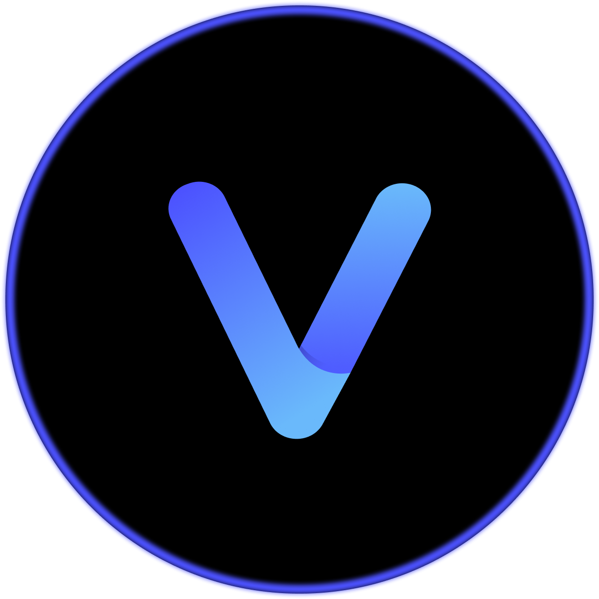 Phenex Vision Signet